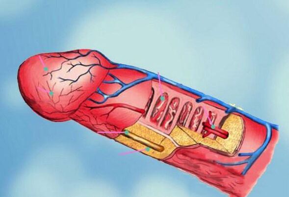 Писканың дефлорациясының порно видеосы